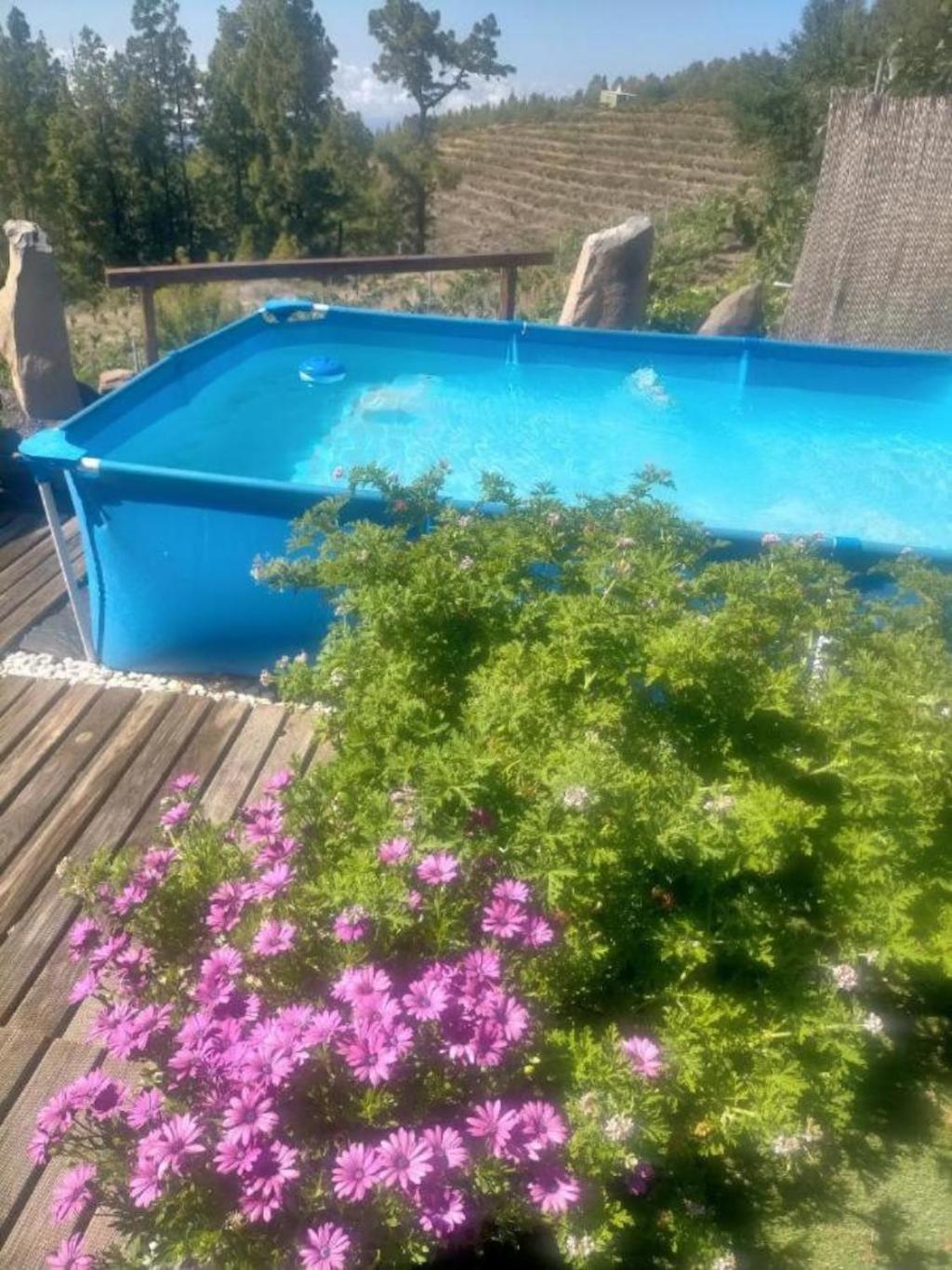 Media Pipa Villa Puntagorda Екстериор снимка